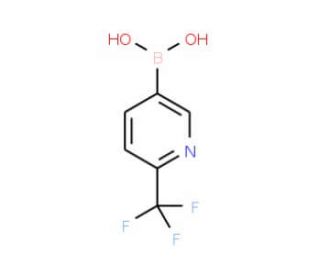 2-(Trifluoromethyl)pyridine-5-boronic acid (CAS 868662-36-6) - chemical structure image