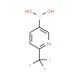 2-(Trifluoromethyl)pyridine-5-boronic acid (CAS 868662-36-6) - chemical structure image