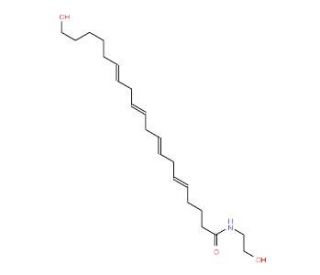 20-HETE Ethanolamide - chemical structure image