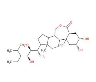22(S),23(S)-Homobrassinolide (CAS 80483-89-2) - chemical structure image
