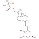 (24R)-24-Hydroxycalcitriol 的分子结构, CAS编号: 56142-94-0 (24R)-24-Hydroxycalcitriol (CAS 56142-94-0) - chemical structure image