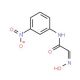 (2E)-2-(hydroxyimino)-N-(3-nitrophenyl)acetamide (CAS 17122-61-1) - chemical structure image
