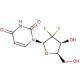 2′,2′-Difluoro-2′-deoxyuridine (CAS 114248-23-6) - chemical structure image