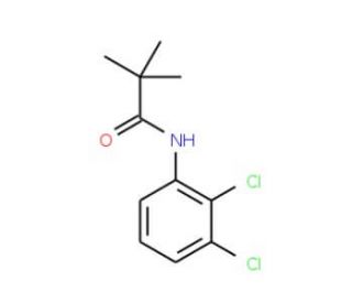 2&prime;,3&prime;-Dichloro-2,2,2-trimethylacetanilide (CAS 168133-85-5) - chemical structure image