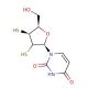 2′,3′-Dithiouridine (CAS 156592-92-6) - chemical structure image