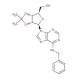 2′,3′-O-(1-Methylethylidene)-N-(phenylmethyl)adenosine (CAS 78188-38-2) - chemical structure image