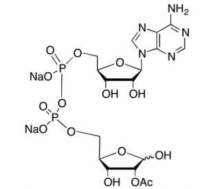 2&prime;/3&prime;-O-Acetyl ADP Ribose (CAS 1312013-29-8) - chemical structure image