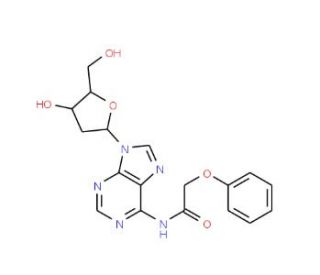 2&prime;-Deoxy-N6-phenoxyacetyladenosine (CAS 110522-74-2) - chemical structure image
