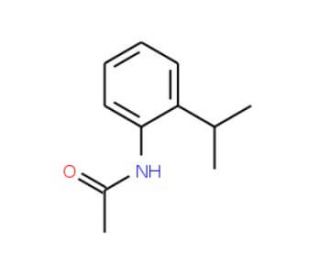 2&prime;-Isopropylacetanilide (CAS 19246-04-9) - chemical structure image