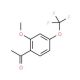 2′-Methoxy-4′-(trifluoromethoxy)acetophenone - chemical structure image