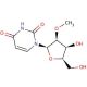 2′-O-Methyl Uridine (CAS 2140-76-3) - chemical structure image