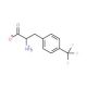 (2S)-2-Amino-3-[4-(trifluoromethyl)phenyl]propanoic acid (CAS 3832-75-5) - chemical structure image
