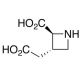 (2S,3S)-trans-3-(Carboxymethyl)-azetidine-2-acetic Acid (CAS 185387-36-4) - chemical structure image
