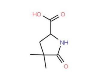 (2S)-4,4-Dimethyl-pyroglutamic Acid (CAS 1217832-12-6) - chemical structure image