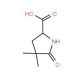 (2S)-4,4-Dimethyl-pyroglutamic Acid (CAS 1217832-12-6) - chemical structure image