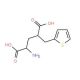 (2S,4R)-2-Amino-4-thiophen-2-ylmethyl-pentanedioic acid - chemical structure image