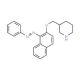 3-[({1-[(E)-2-Phenyldiazenyl]-2-naphthyl}oxy)-methyl]piperidine - chemical structure image