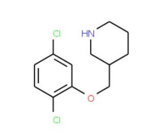 3-[(2,5-Dichlorophenoxy)methyl]piperidine - chemical structure image