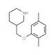 3-[(2,5-Dimethylphenoxy)methyl]piperidine - chemical structure image