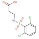 3-{[(2,6-dichlorophenyl)sulfonyl]amino}propanoic acid - chemical structure image