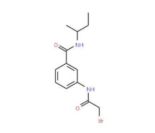 3-[(2-Bromoacetyl)amino]-N-(sec-butyl)benzamide - chemical structure image