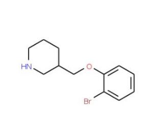 3-[(2-Bromophenoxy)methyl]piperidine - chemical structure image