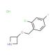 3-[(2-Chloro-4-fluorobenzyl)oxy]azetidinehydrochloride - chemical structure image