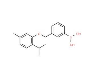 3-[(2-Isopropyl-5-methylphenoxy)methyl]phenylboronic acid (CAS 1072951-74-6) - chemical structure image