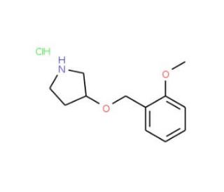 3-[(2-Methoxybenzyl)oxy]pyrrolidine hydrochloride - chemical structure image