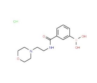3-[(2-Morpholin-4-ylethyl)carbamoyl]benzeneboronic acid hydrochloride (CAS 957060-89-8) - chemical structure image