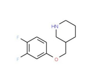 3-[(3,4-Difluorophenoxy)methyl]piperidine (CAS 405090-69-9) - chemical structure image
