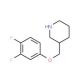 3-[(3,4-Difluorophenoxy)methyl]piperidine (CAS 405090-69-9) - chemical structure image