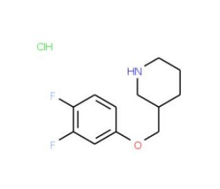3-[(3,4-Difluorophenoxy)methyl]piperidine hydrochloride - chemical structure image