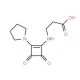3-[(3,4-Dioxo-2-pyrrolidin-1-ylcyclobut-1-en-1-yl)amino]propanoic acid - chemical structure image