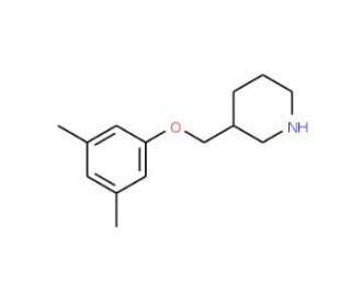 3-[(3,5-Dimethylphenoxy)methyl]piperidine - chemical structure image