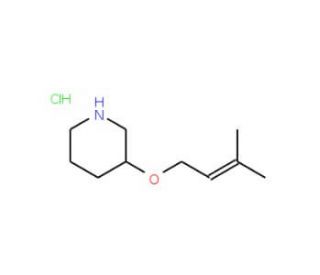 3-[(3-Methyl-2-butenyl)oxy]piperidinehydrochloride - chemical structure image