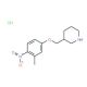 3-[(3-Methyl-4-nitrophenoxy)methyl]piperidinehydrochloride - chemical structure image