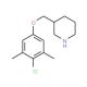 3-[(4-Chloro-3,5-dimethylphenoxy)methyl]piperidine - chemical structure image