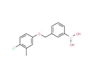 3-[(4-Chloro-3-methylphenoxy)methyl]phenylboronic acid (CAS 1072951-91-7) - chemical structure image