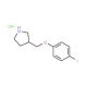 3-[(4-Fluorophenoxy)methyl]pyrrolidine hydrochloride - chemical structure image