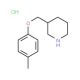 3-[(4-Methylphenoxy)methyl]piperidinehydrochloride - chemical structure image