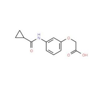 {3-[(cyclopropylcarbonyl)amino]phenoxy}acetic acid - chemical structure image