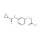 {3-[(cyclopropylcarbonyl)amino]phenoxy}acetic acid - chemical structure image