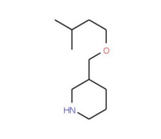 3-[(Isopentyloxy)methyl]piperidine - chemical structure image