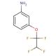 3-(1,1,2,2-Tetrafluoroethoxy)aniline (CAS 831-75-4) - chemical structure image