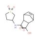 3-(1,1-Dioxotetrahydro-1lambda*6*-thiophen-3-ylca-rbamoyl)bicyclo[2.2.1]hept-5-ene-2-carboxylic acid - chemical structure ima