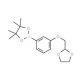 3-((1,3-Dioxolan-2-yl)methoxy)phenylboronic acid, pinacol ester (CAS 850411-08-4) - chemical structure image