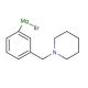 [3-(1-Piperidinylmethyl)phenyl]magnesium bromide solution (CAS 480424-82-6) - chemical structure image