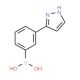 [3-(1H-pyrazol-3-yl)phenyl]boronic acid - chemical structure image