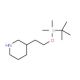 3-[2[[(1,1-Dimethylethyl)dimethyl silyl]oxy]ethyl]-piperidine (CAS 146667-82-5) - chemical structure image